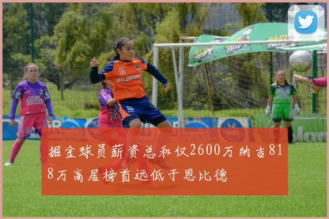 掘金球员薪资总和仅2600万纳吉818万高居榜首远低于恩比德